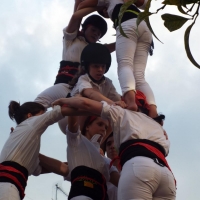 DSCF8975