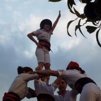 DSCF8979