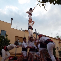 DSCF8980