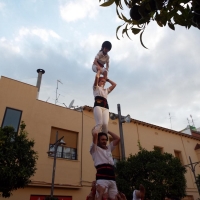 DSCF8982