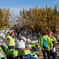 castell (12)