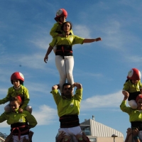 vano (12)