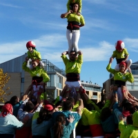 vano (16)