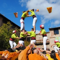 4 t6 (3)