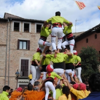 5 3d6a (1)