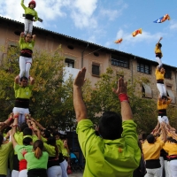 6 p4 (5)