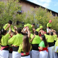 7 p3 (1)