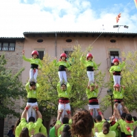 7 p3 (6)