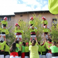 7 p3 (7)
