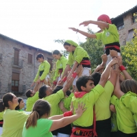 7 p3 (8)