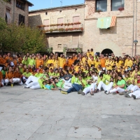 p2 (4)