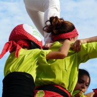 P1160226