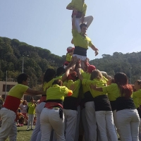 p4 (3a) (1)
