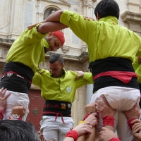 4d6a (17)