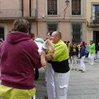cuc (14)