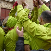 vano (14)