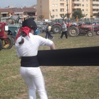 DSCF9265